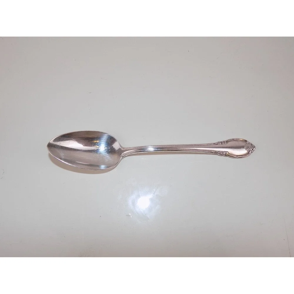 1847 Rogers Bros Remembrance TEASPOON Spoon One (1) International Silver Plate